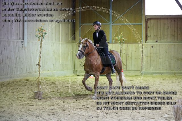 s_K3F07508.JPG